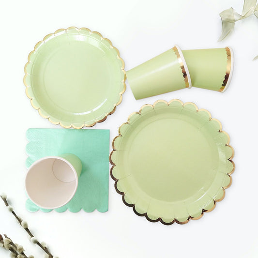Spring Green Paper Cups Napkins Dessert Plates Tableware Disposable Set for 8